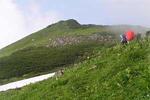 �ܐF�����`�z����x�`�X�S��z | �k�A���v�X�������c��