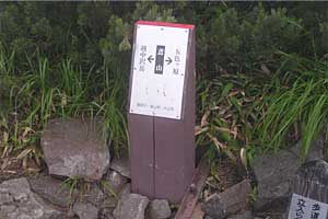 �ܐF�����`�z����x�`�X�S��z | �k�A���v�X�������c��