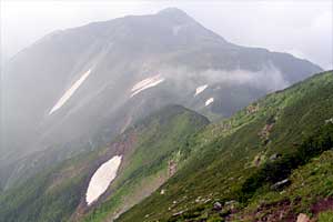 �ܐF�����`�z����x�`�X�S��z | �k�A���v�X�������c��