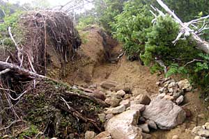 �ܐF�����`�z����x�`�X�S��z | �k�A���v�X�������c��