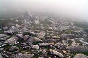 �ܐF�����`�z����x�`�X�S��z | �k�A���v�X�������c��