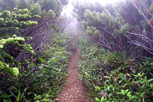 �ܐF�����`�z����x�`�X�S��z | �k�A���v�X�������c��