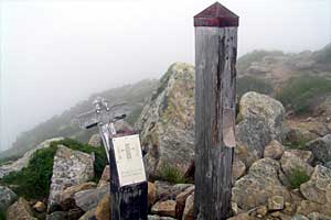 �ܐF�����`�z����x�`�X�S��z | �k�A���v�X�������c��