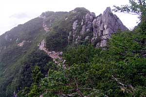 �ܐF�����`�z����x�`�X�S��z | �k�A���v�X�������c��