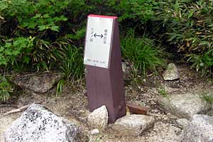 �ܐF�����`�z����x�`�X�S��z | �k�A���v�X�������c��