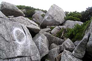 �ܐF�����`�z����x�`�X�S��z | �k�A���v�X�������c��