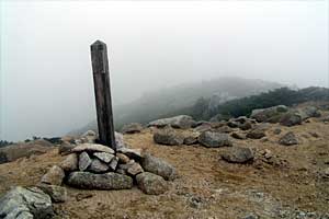 �ܐF�����`�z����x�`�X�S��z | �k�A���v�X�������c��