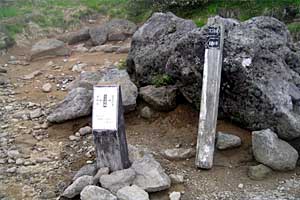 �ܐF�����`�z����x�`�X�S��z | �k�A���v�X�������c��