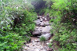 �ܐF�����`�z����x�`�X�S��z | �k�A���v�X�������c��