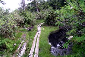 �ܐF�����`�z����x�`�X�S��z | �k�A���v�X�������c��