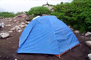 �ܐF�����`�z����x�`�X�S��z | �k�A���v�X�������c��