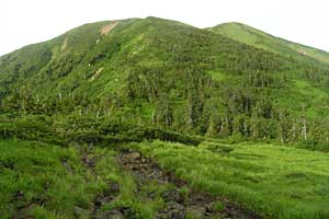 �X�S��z�`��t�x�`��t���`���Y������ | �k�A���v�X�������c��