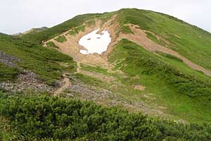 �X�S��z�`��t�x�`��t���`���Y������ | �k�A���v�X�������c��