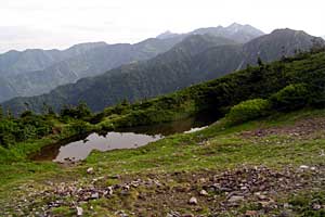 �X�S��z�`��t�x�`��t���`���Y������ | �k�A���v�X�������c��