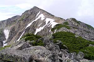 �X�S��z�`��t�x�`��t���`���Y������ | �k�A���v�X�������c��