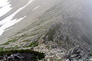 �X�S��z�`��t�x�`��t���`���Y������ | �k�A���v�X�������c��