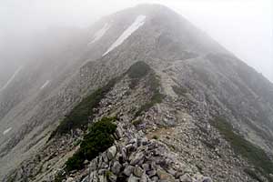 �X�S��z�`��t�x�`��t���`���Y������ | �k�A���v�X�������c��