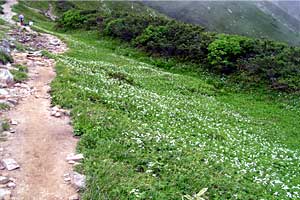 �X�S��z�`��t�x�`��t���`���Y������ | �k�A���v�X�������c��