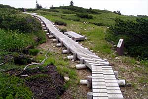 �X�S��z�`��t�x�`��t���`���Y������ | �k�A���v�X�������c��