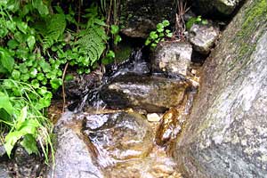 �X�S��z�`��t�x�`��t���`���Y������ | �k�A���v�X�������c��