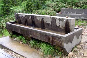 �X�S��z�`��t�x�`��t���`���Y������ | �k�A���v�X�������c��