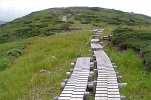 �X�S��z�`��t�x�`��t���`���Y������ | �k�A���v�X�������c��