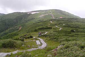 �X�S��z�`��t�x�`��t���`���Y������ | �k�A���v�X�������c��