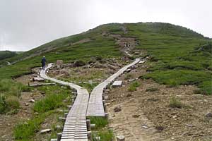 �X�S��z�`��t�x�`��t���`���Y������ | �k�A���v�X�������c��