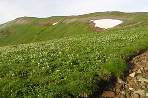 ��t���`�k�m���x�`�����ܘY�x�`�O������ | �k�A���v�X�������c��