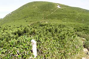 ��t���`�k�m���x�`�����ܘY�x�`�O������ | �k�A���v�X�������c��