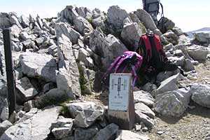 ��t���`�k�m���x�`�����ܘY�x�`�O������ | �k�A���v�X�������c��