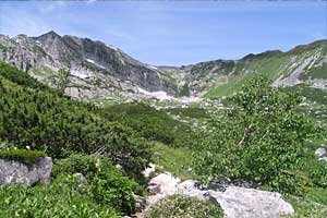 ��t���`�k�m���x�`�����ܘY�x�`�O������ | �k�A���v�X�������c��