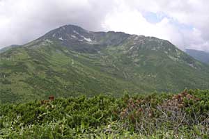 ��t���`�k�m���x�`�����ܘY�x�`�O������ | �k�A���v�X�������c��