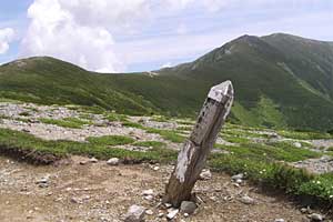 ��t���`�k�m���x�`�����ܘY�x�`�O������ | �k�A���v�X�������c��