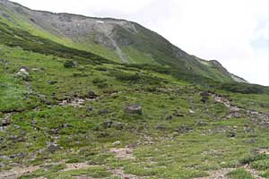 ��t���`�k�m���x�`�����ܘY�x�`�O������ | �k�A���v�X�������c��