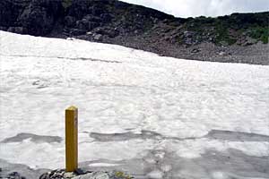 ��t���`�k�m���x�`�����ܘY�x�`�O������ | �k�A���v�X�������c��