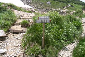 ��t���`�k�m���x�`�����ܘY�x�`�O������ | �k�A���v�X�������c��