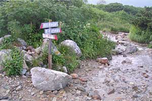 ��t���`�k�m���x�`�����ܘY�x�`�O������ | �k�A���v�X�������c��