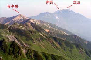 �O�������`�h�H�x�`�����x�`�ԋ��x�`�������q���b�e | �k�A���v�X�������c��