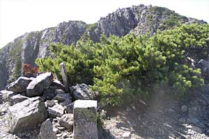 �O�������`�h�H�x�`�����x�`�ԋ��x�`�������q���b�e | �k�A���v�X�������c��