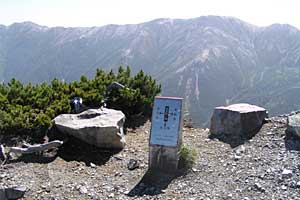 �O�������`�h�H�x�`�����x�`�ԋ��x�`�������q���b�e | �k�A���v�X�������c��