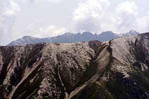 �O�������`�h�H�x�`�����x�`�ԋ��x�`�������q���b�e | �k�A���v�X�������c��