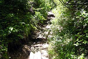 �O�������`�h�H�x�`�����x�`�ԋ��x�`�������q���b�e | �k�A���v�X�������c��