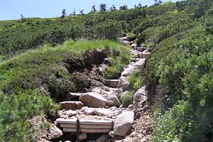 �O�������`�h�H�x�`�����x�`�ԋ��x�`�������q���b�e | �k�A���v�X�������c��