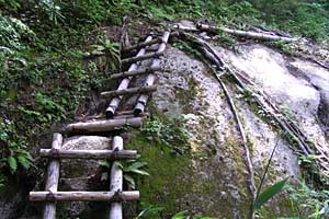 �O�������`�h�H�x�`�����x�`�ԋ��x�`�������q���b�e | �k�A���v�X�������c��