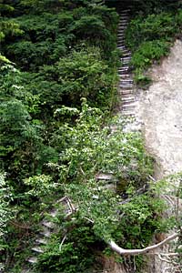 �O�������`�h�H�x�`�����x�`�ԋ��x�`�������q���b�e | �k�A���v�X�������c��