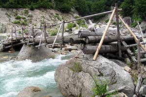 �������q���b�e�`���̓n���`���b�W������`�����_�� | �k�A���v�X�������c��