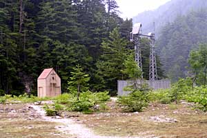 �������q���b�e�`���̓n���`���b�W������`�����_�� | �k�A���v�X�������c��