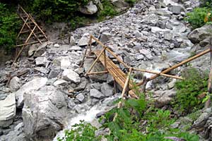 �������q���b�e�`���̓n���`���b�W������`�����_�� | �k�A���v�X�������c��