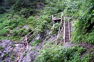 �������q���b�e�`���̓n���`���b�W������`�����_�� | �k�A���v�X�������c��